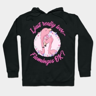 I just really Love Flamingos ok  Flamingo Hoodie